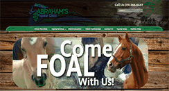 Desktop Screenshot of abrahamsequineclinic.com